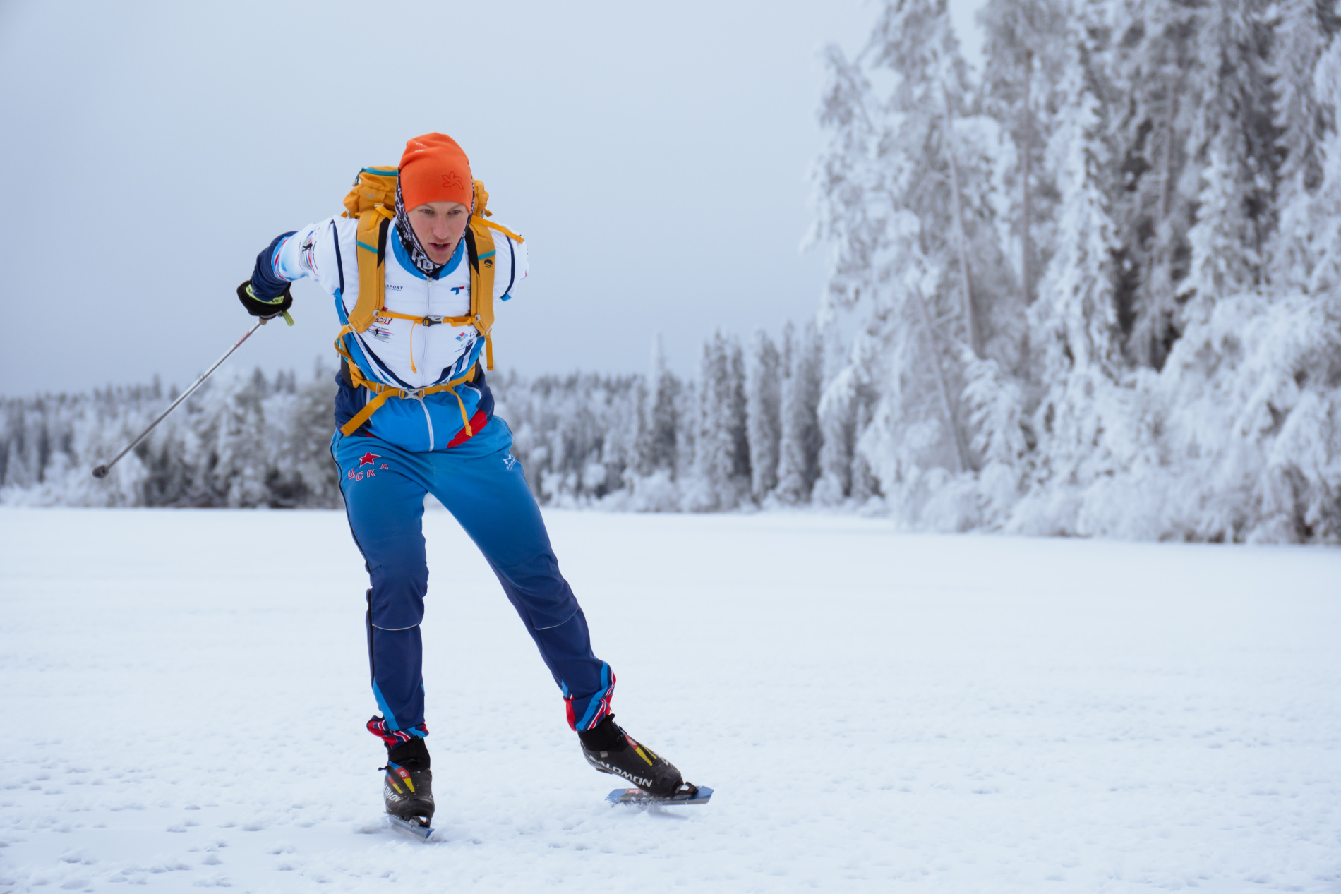 Фото: Скорость удается развивать куда выше, чем на лыжах. 35-40 км/ч на равнине без особых проблем. Кайф для тех, кто уверен в своей лыжной технике.