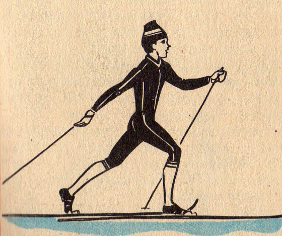 Лыжник передвигаясь. Попеременный двухшажный ход лыжник. Переменный двухшажный классический ход. Попеременно двухшажного классического хода. Ходьба на лыжах классический ход.